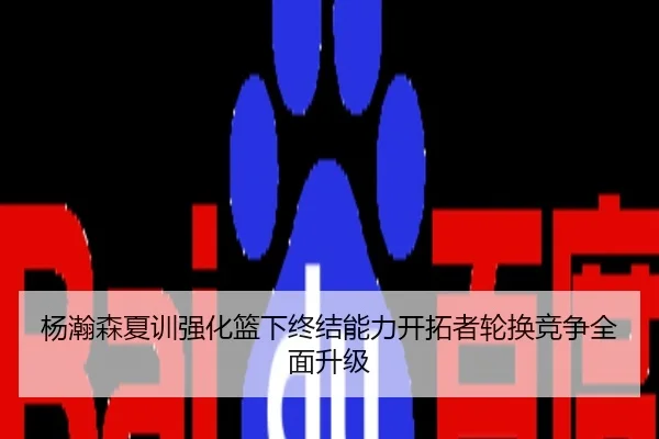 杨瀚森夏训强化篮下终结能力开拓者轮换竞争全面升级